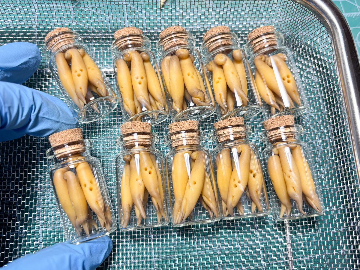 マンドレイクの種、小瓶に詰めました！ タグ🏷️つけたら完成！