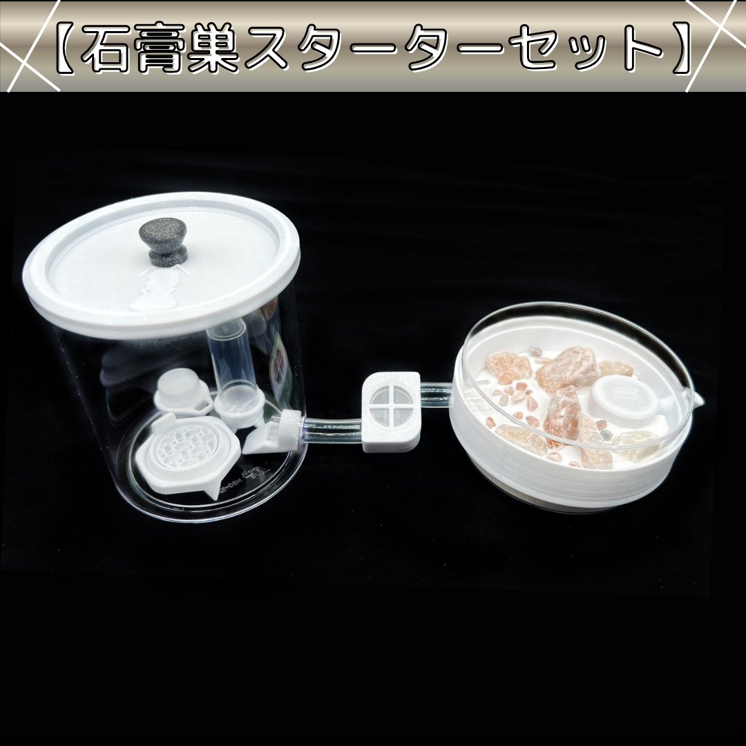 あり巣 in underground @ アリ飼育用品と女王アリの販売