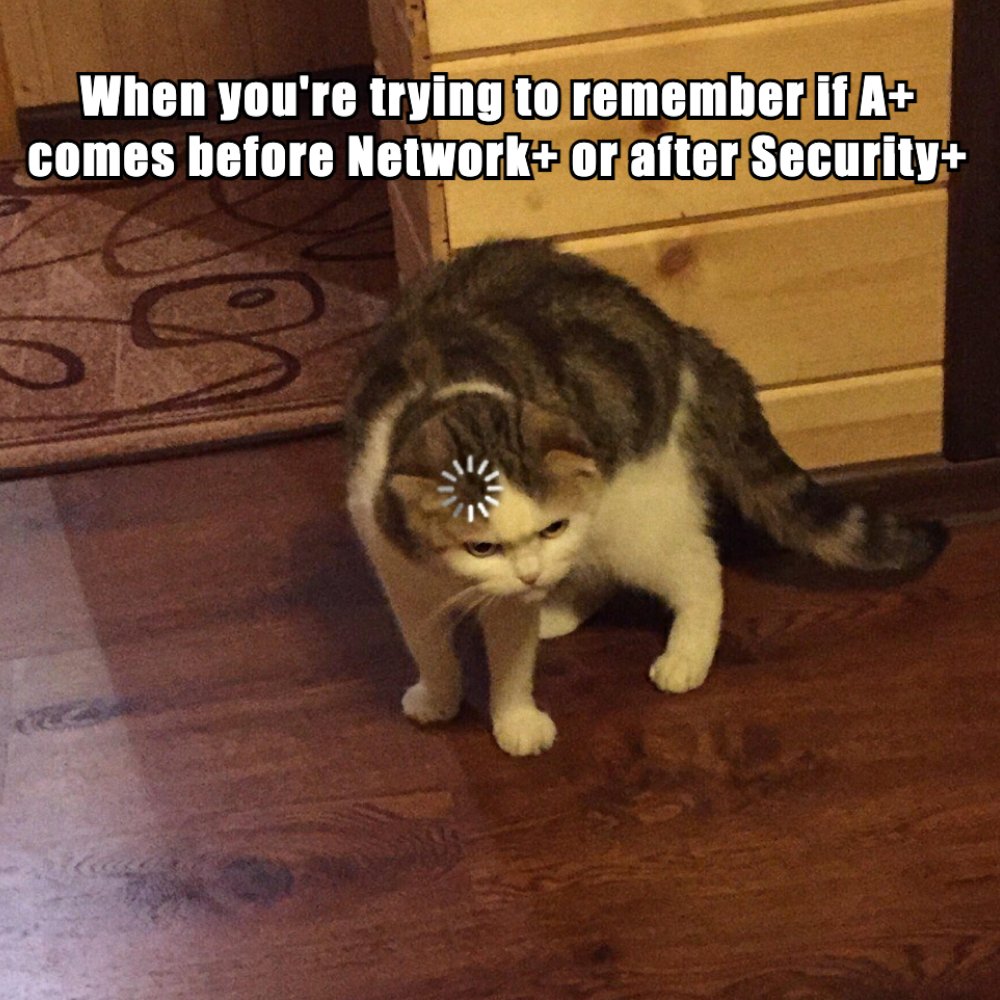 ExamsDigest's tweet photo. Follow @examsdigest for more!

#comptia #programming #programmer #python #developer #javascript #code #coder #technology #html #computerscience #codinglife #java #webdeveloper #tech #webdevelopment #css #software #softwaredeveloper #webdesign #linux #programmers #codingisfun https://t.co/rPRYPOyk0r