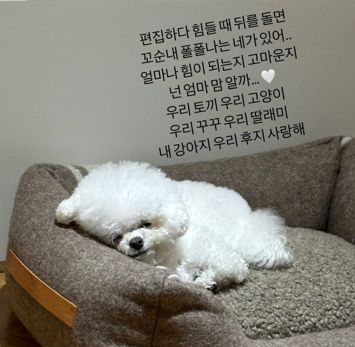 dearvichii's tweet photo. 영상 보니까 문득 생각난 스토리 https://t.co/glrP8sdgrU