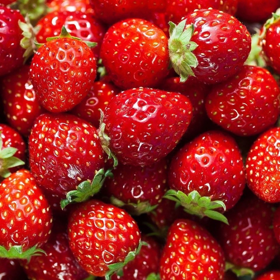 ewox97's tweet photo. Official Strawberry Day

85uKS2Vij8gu1TDi41FGHrVJdFa8LSJVB3Xts9Kvpump https://t.co/xQLdw1ghTR