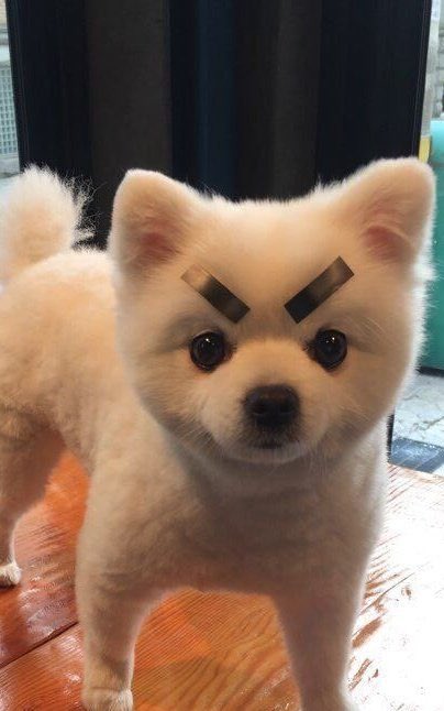 제 눈엔 정우가 오른쪽처럼 보이네요 ..