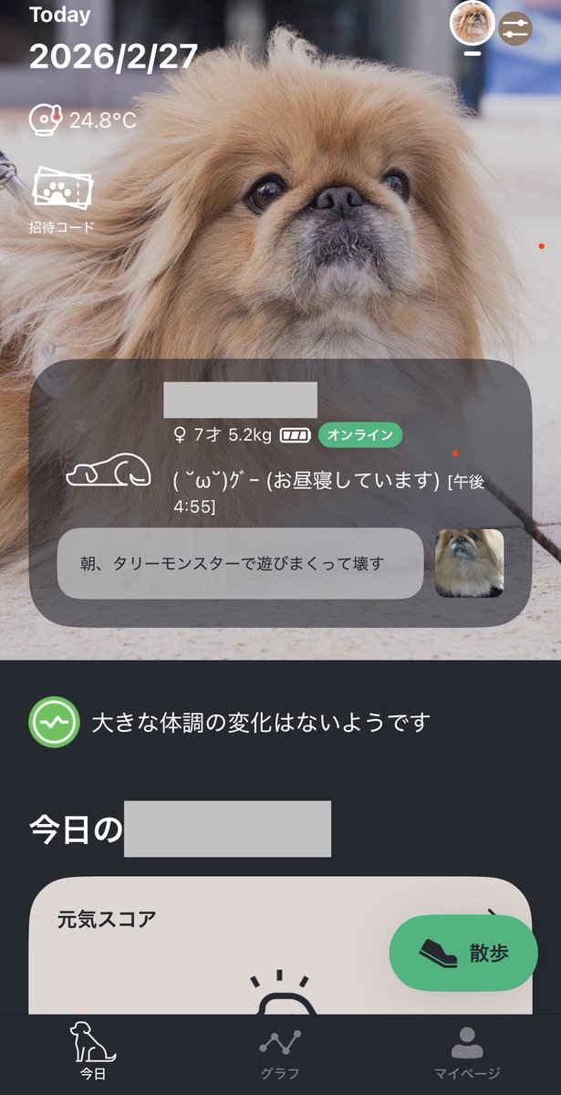 takeo🐈🐕️ tweet media