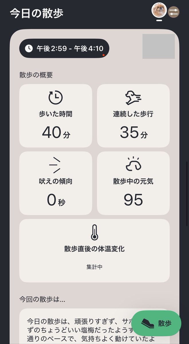 takeo🐈🐕️ tweet media
