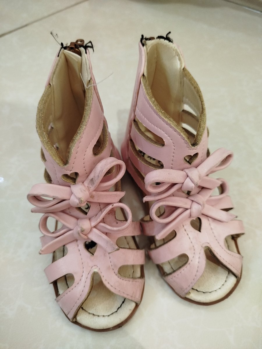 Sajedeh H tweet media