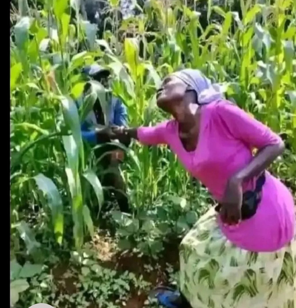 Grey 🎭 tweet media