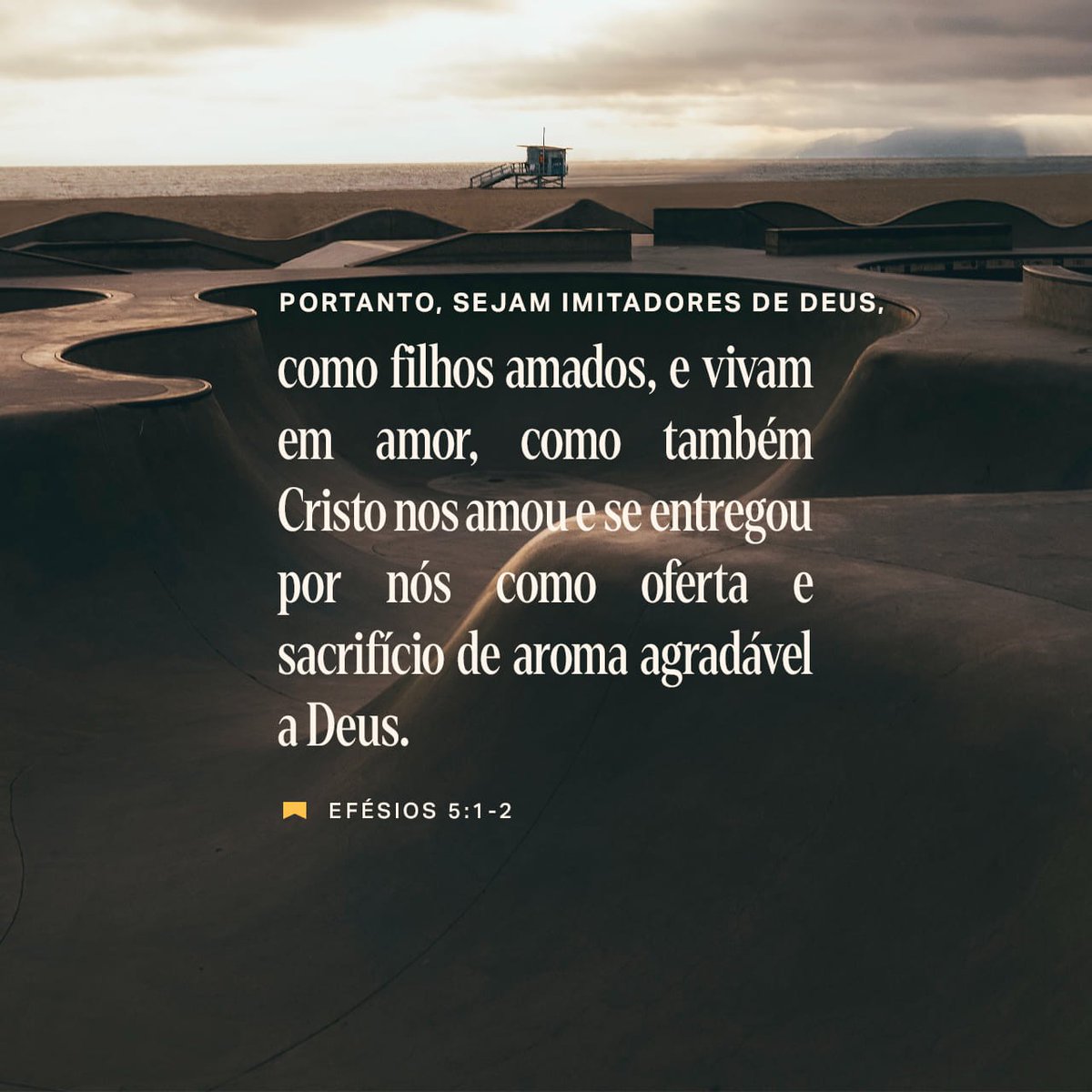 Cassio 🇧🇷🇧🇷🇧🇷 tweet media