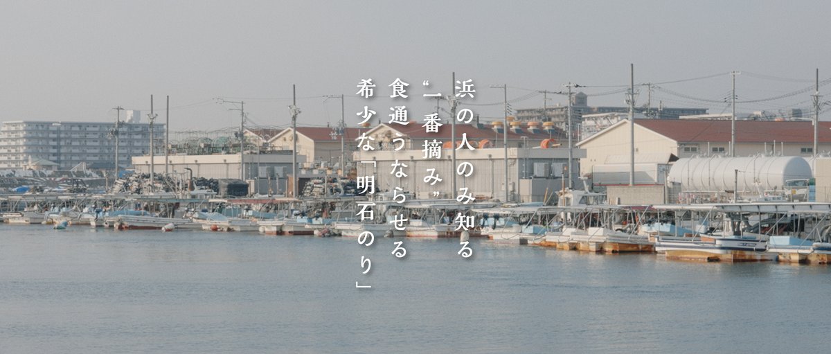 E_monogatari's tweet photo. 発売まであと2日！
【数量限定　3/3 午前10時販売開始】

明石海峡の速い潮にもまれた「明石のり」は、厚みがあるのに、口どけなめらか。

香り・旨み・歯切れの良さが三拍子そろった一番摘み。漁師さんの家庭用＆贈答用として作られてきた「特別な海苔」を、数量限定で一般販売します。

3/3 午前10時〜販売開始。お見逃しなく。

詳細：https://t.co/6dgjF2B5wF