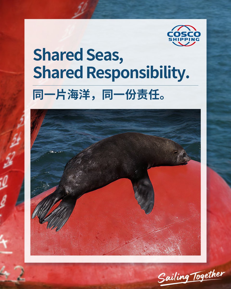 COSCO SHIPPING tweet media