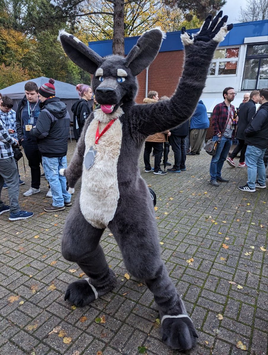 Wildspotworks Fursuits 💙💛 tweet media