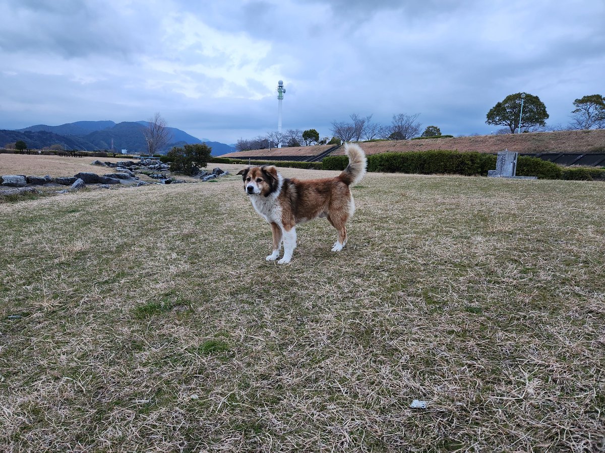 🍓いちご缶詰🍓 tweet media