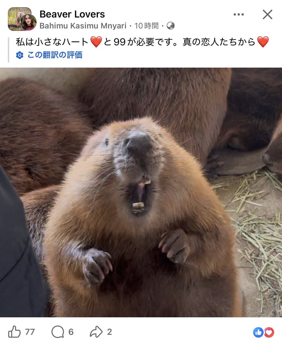 bibami(ビバ美) (@bi__bami) / Posts / X