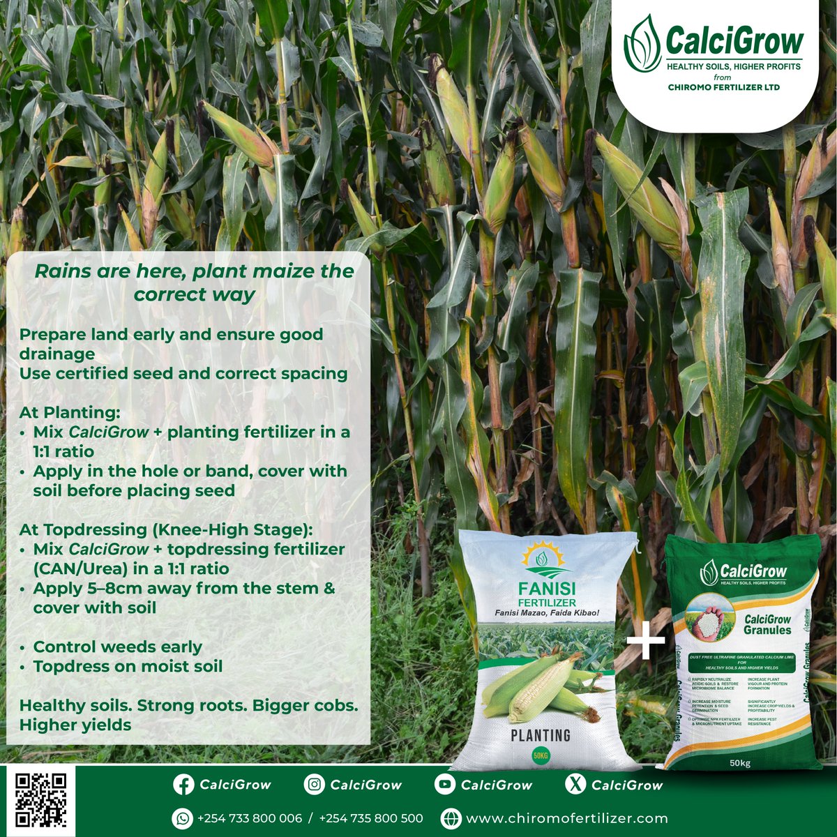 CalcigrowGranul's tweet photo. The rains are here, and a new season begins!

This season is your chance to start fresh. Just like the sun rises each day, bringing new possibilities, this season offers you the opportunity to rewrite your story and achieve bigger, healthier maize yields.
Use #CalciGrow https://t.co/aE3nszMz7O