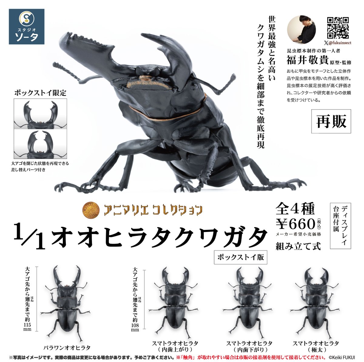 RT @SOTA170317: 🆕🔍✨2026年6月発売商品✨🪵🆕 予約開始のお知らせ