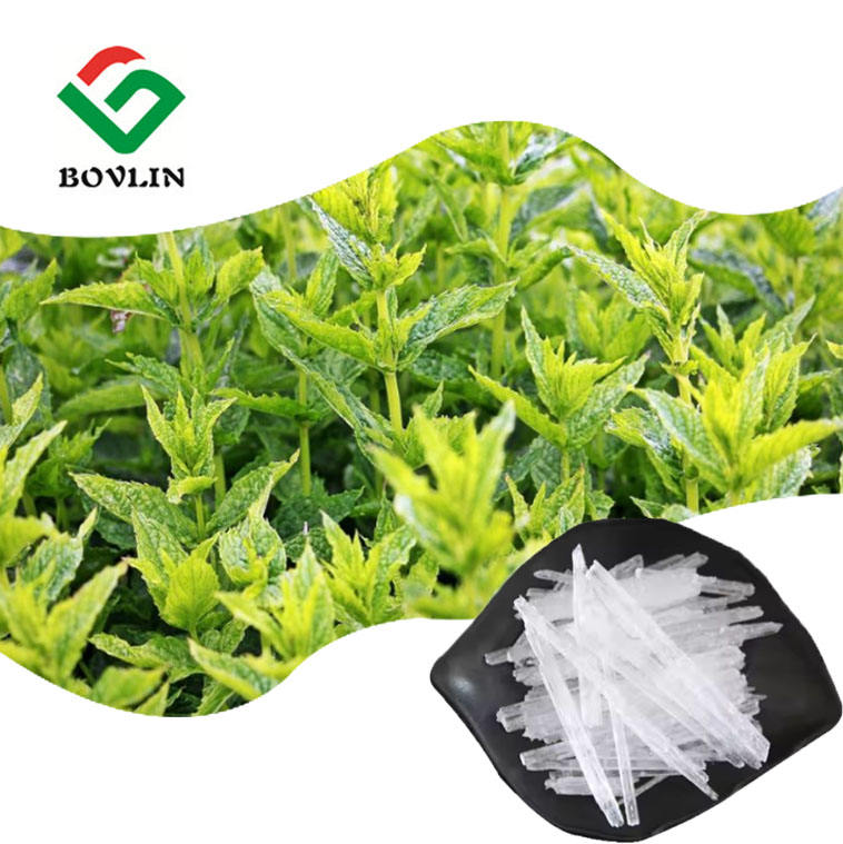 Bolinbiotech's tweet image. Bolin Biology offers diverse forms: powders, liquids, extracts &amp;amp; pastes. 
Customized for food, supplements &amp;amp; cosmetics. 
Flexible solutions for your brand. DM for details!
#ProductForms #B2B #CustomManufacturing