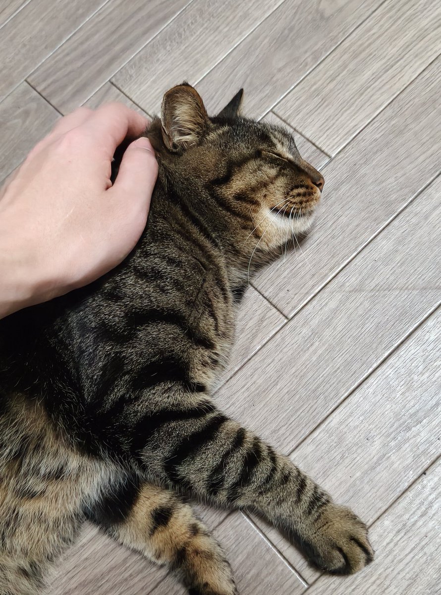 いもむ tweet media