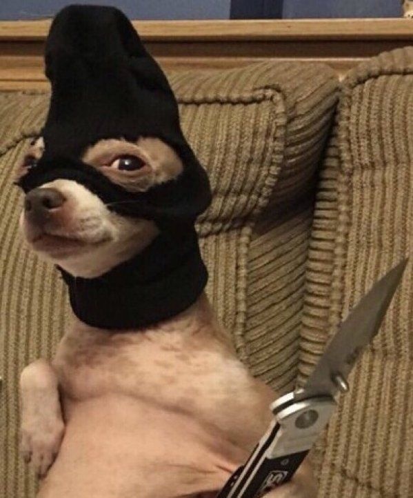 Me as a thief; ogambye osigaza 20k ? Genda oziteke ku Katambula I will be back tomorrow