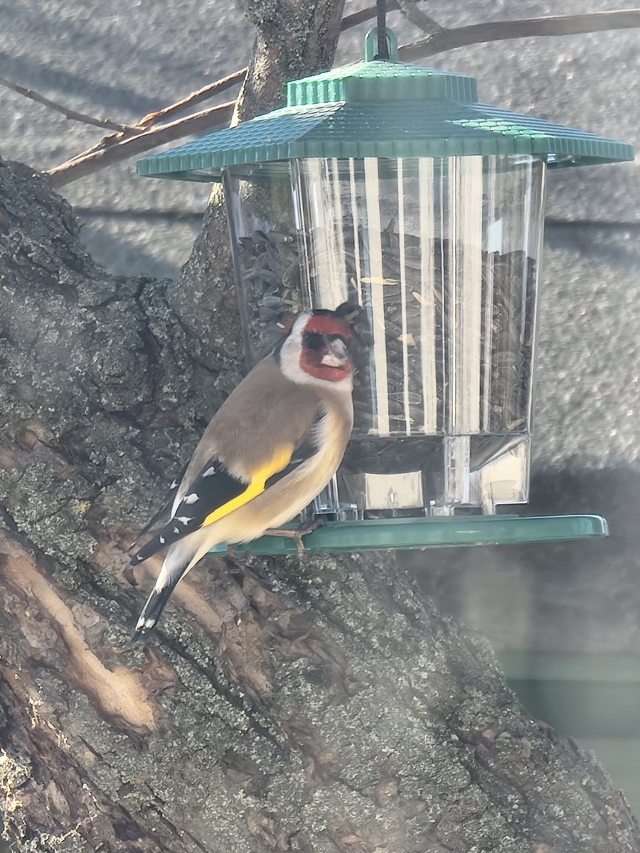 Eleanor ✍️ The Copywriter tweet media