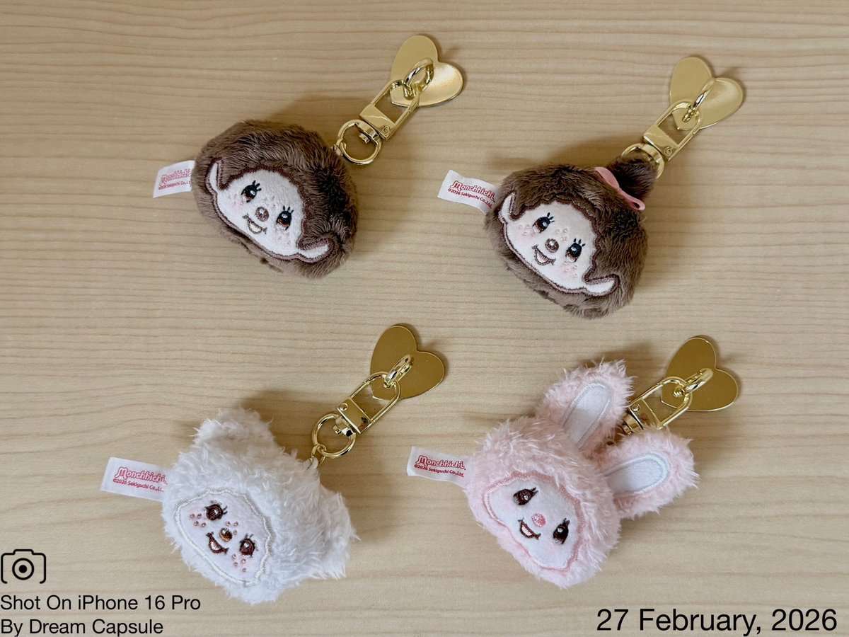 ぽんちゃん (@ponchanmiyu) / Posts / X