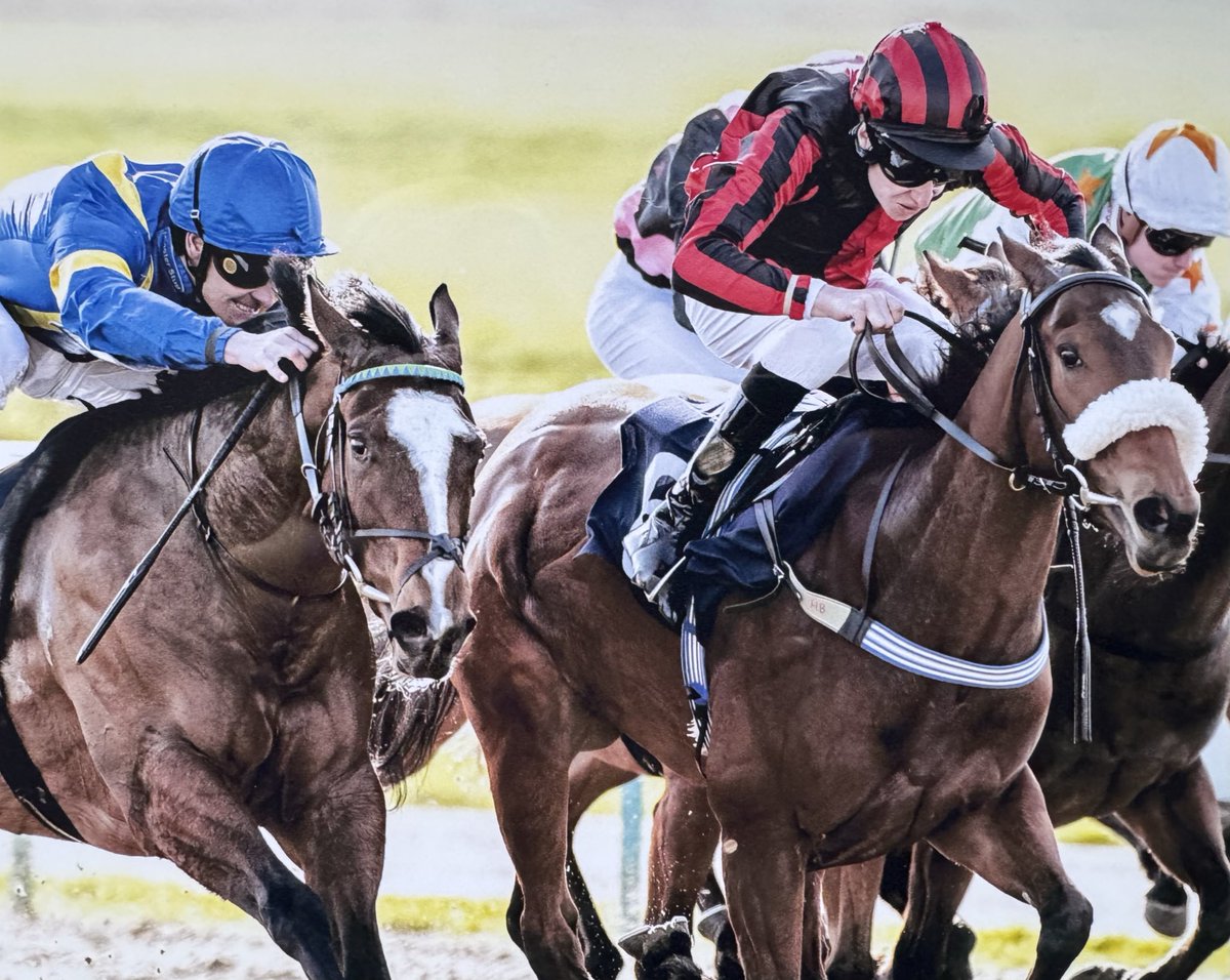 Hayley Burton tweet media