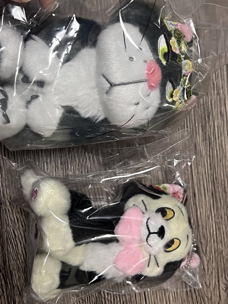 あきほ POPMART⭐︎ tweet media