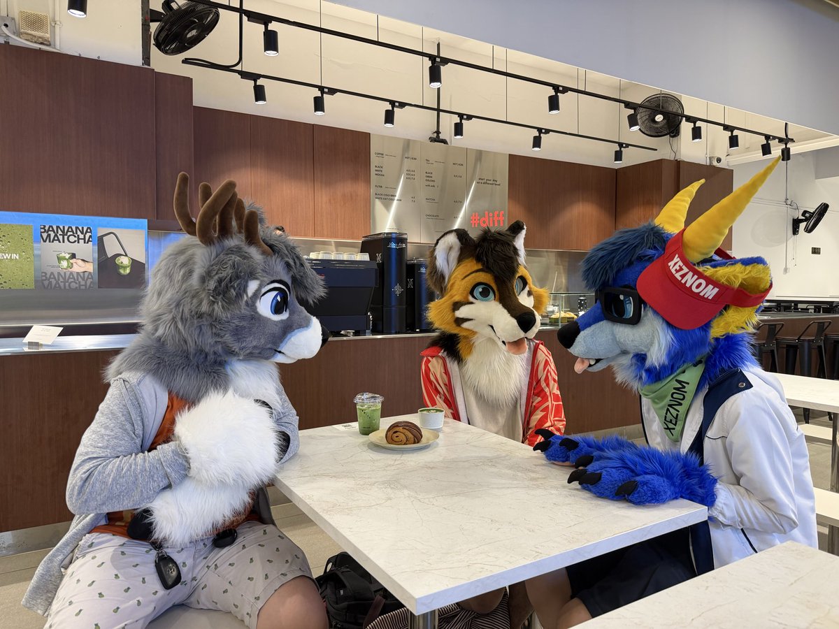 Xeznom 🔙 Furum 2025 🔜 Thaitails 2026 tweet media