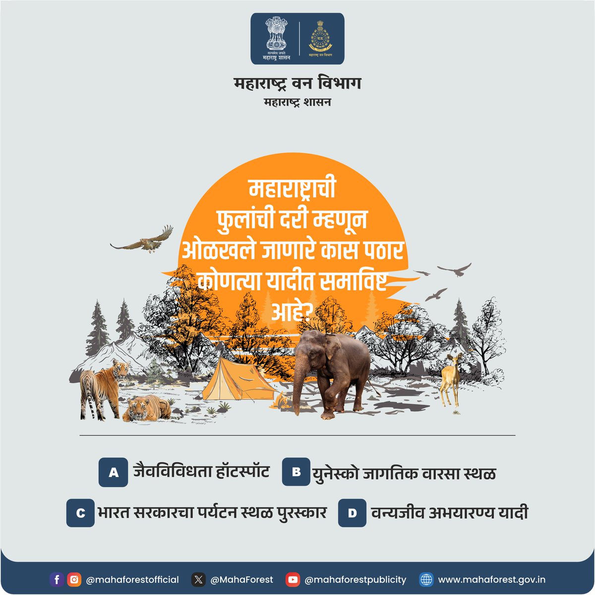 Maha Forest Official tweet media