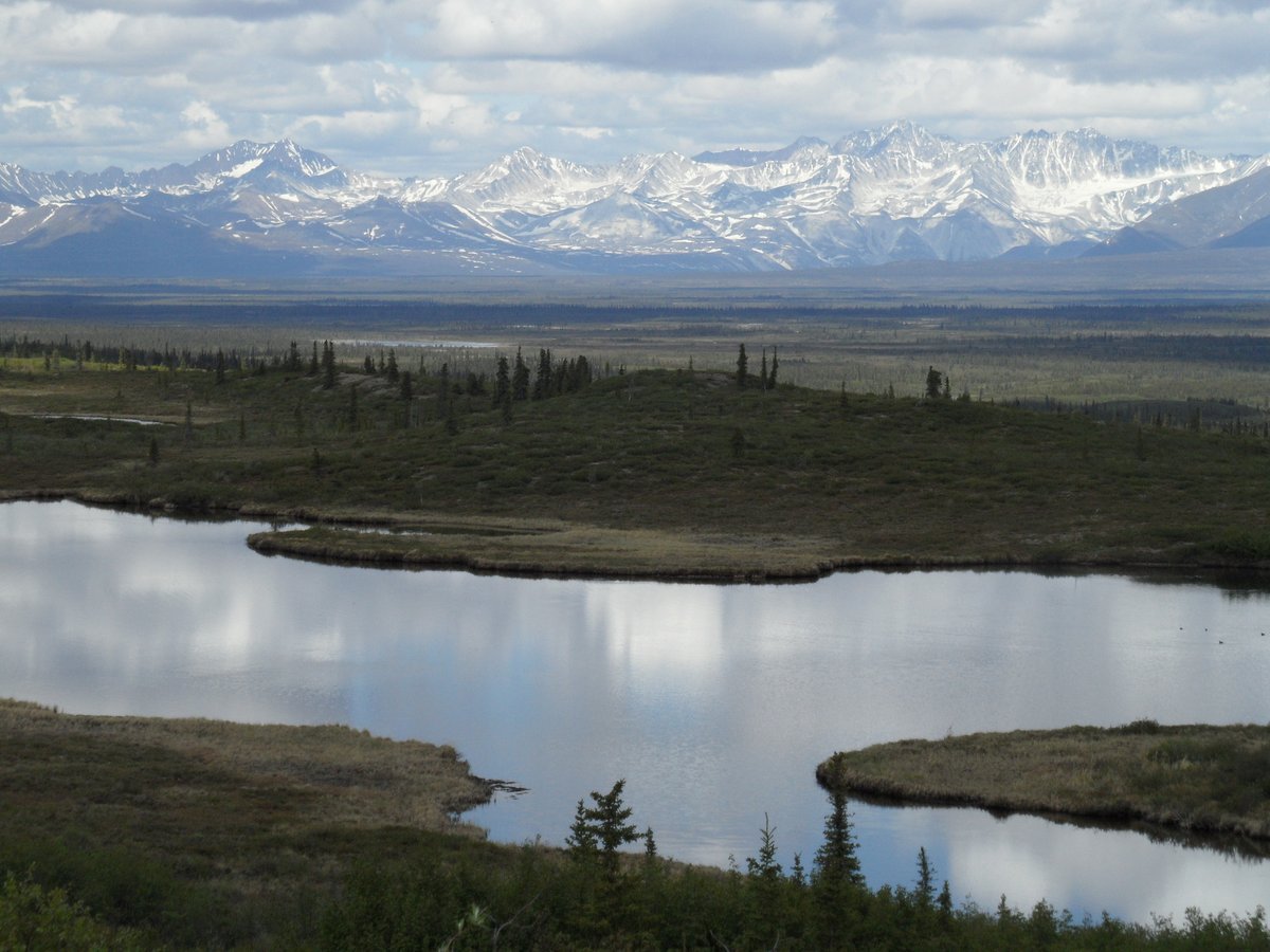 I was reminiscing with a good friend today about how caribou hunting adventures in this area of Alaska.  We had a lot of great times: chasing 'bou, 4-wheelin', breaking trail, topping mountain ridges, backwoods tent camping in below freezing weather--even a rescue.