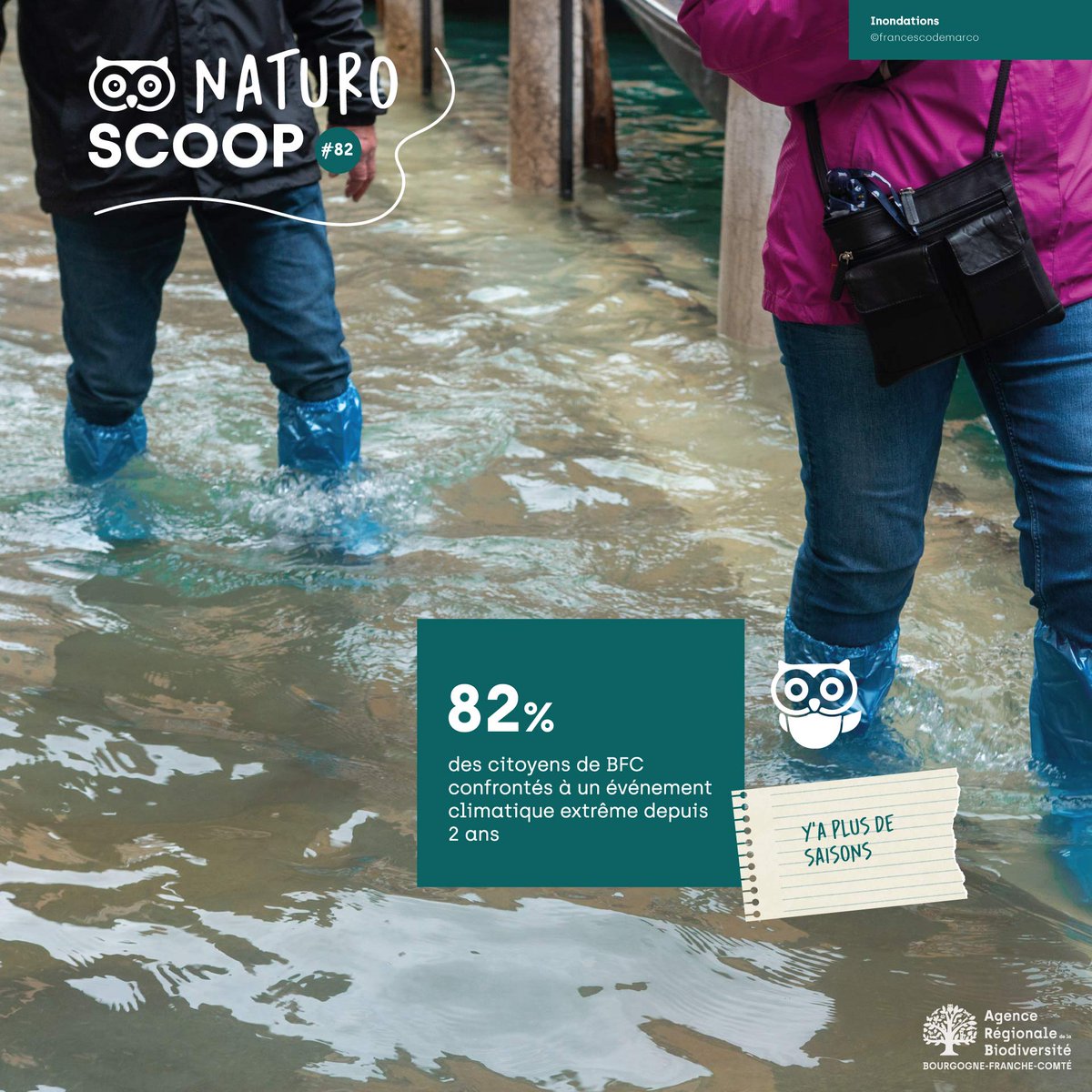 ARB_BFC's tweet photo. NaturoScoop :
Une publication ludique de l'Observatoire Régional de la Biodiversité BFC

Pour la journée mondiale de l'ours polaire : on parle changement climatique

➡️1 chiffre clé pour mieux connaitre la #biodiversité

https://t.co/IefEuA2zEm https://t.co/yUfCgQz01U