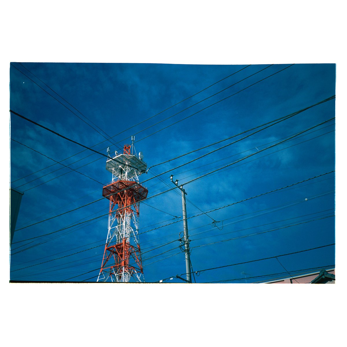 umi_yama_machi's tweet photo. #房総 #田舎の風景 #どこにでもあるここにしかない風景 #フィルムカメラ #filmcamera #contaxrts #contaxt2 #carlzeiss #distagon28mm #distagon25mm #planar50mm #kodak #portra400 #コイデカメラ #コイデカメラ木更津総合店 #NewTopographics #海と山と街と写真と https://t.co/jfquxJo1ss