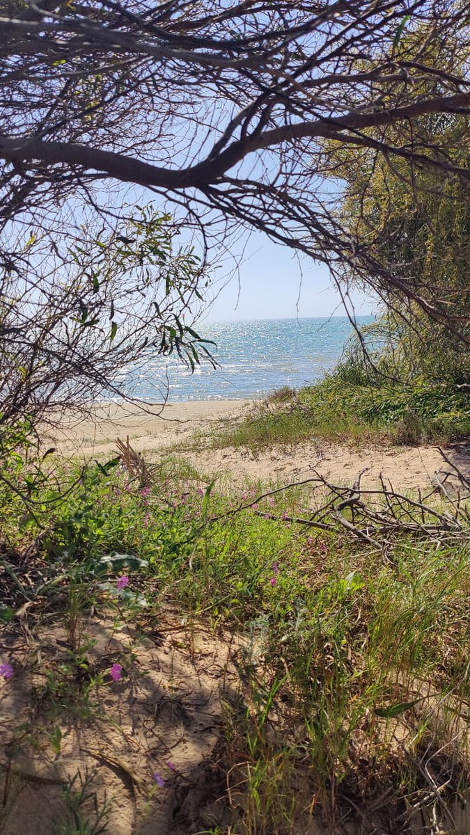 GM CT best frens 💙