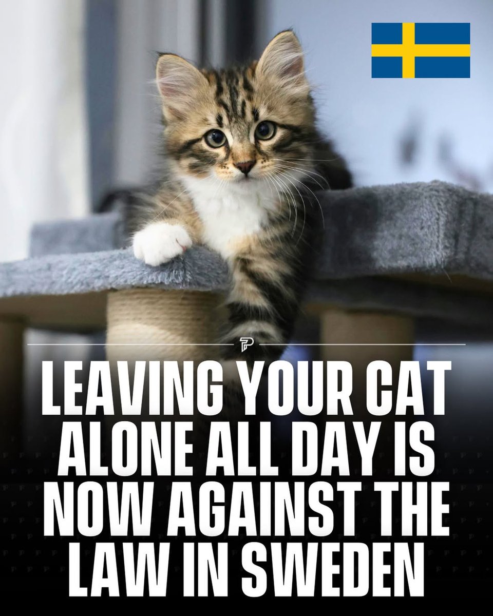 The World R🅰️nking tweet media