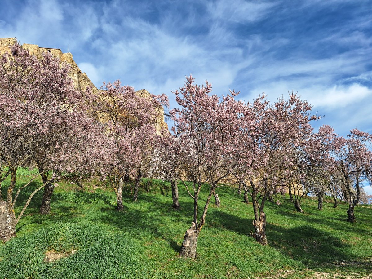 Juan Amela tweet media