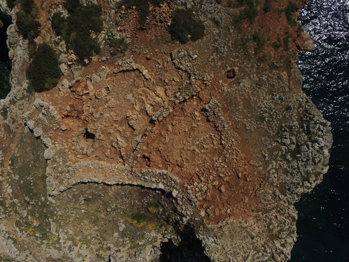 Museu d'Història de Manacor tweet media