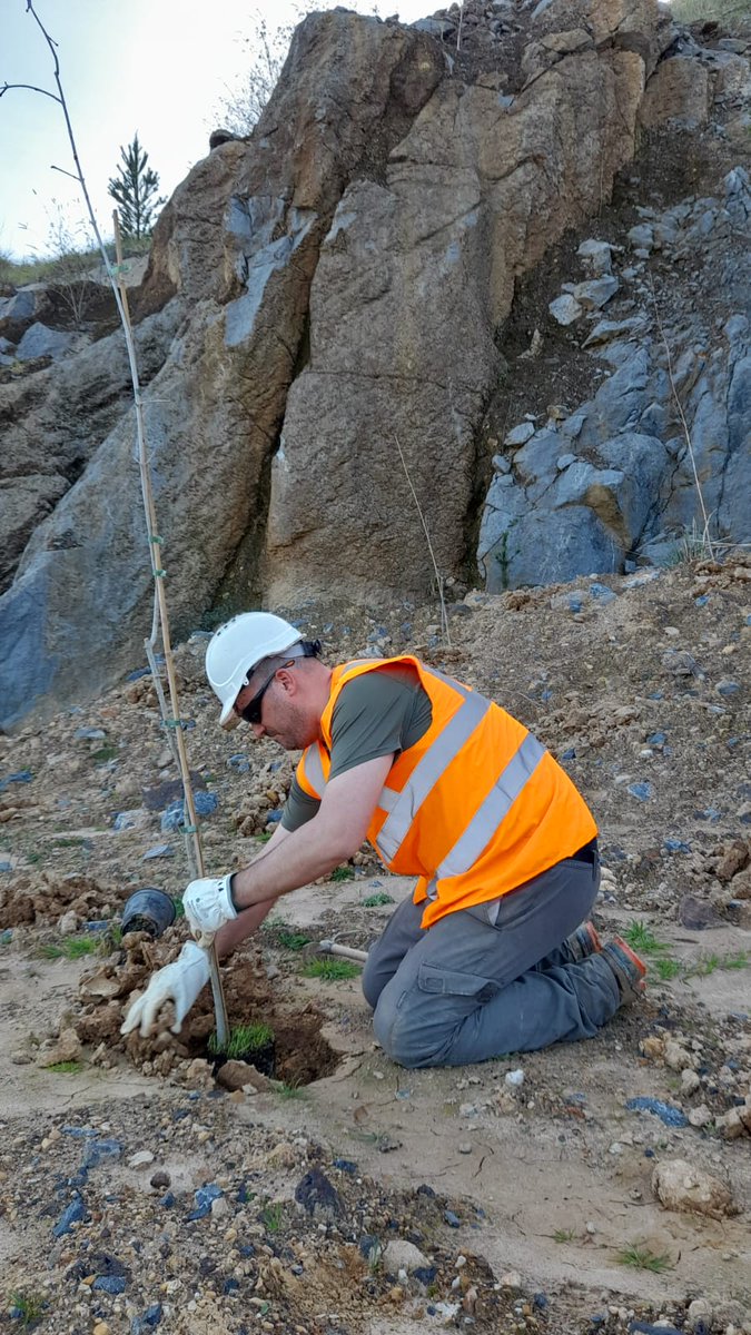 Heidelberg Materials ES tweet media