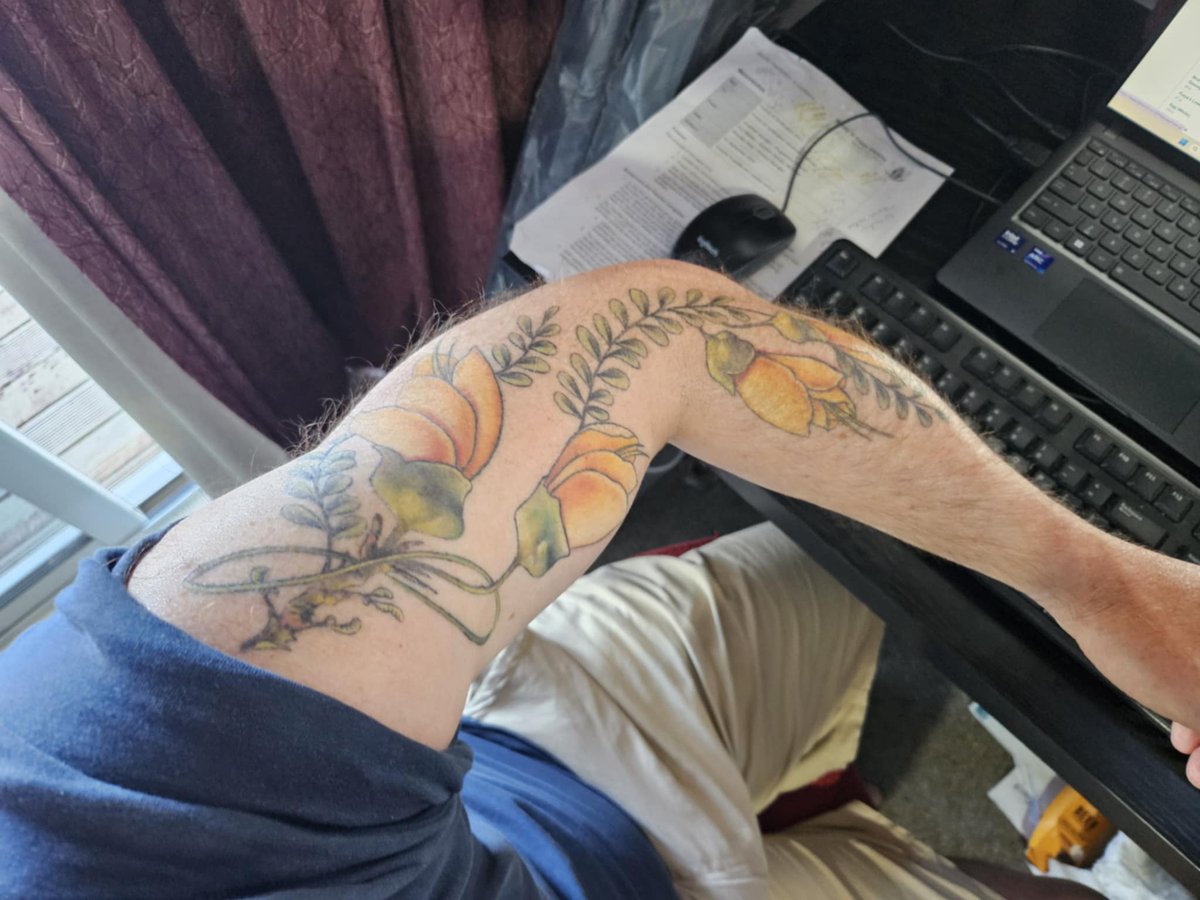 Allan5115's tweet photo. @wiseconnector Yep, but got an arm length one at 52 yp. https://t.co/dZLiJrNeX5