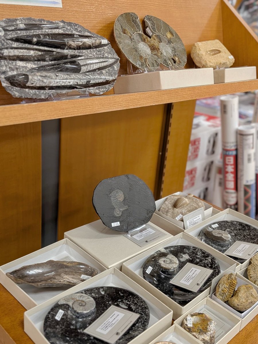 株式会社東京サイエンス tweet media