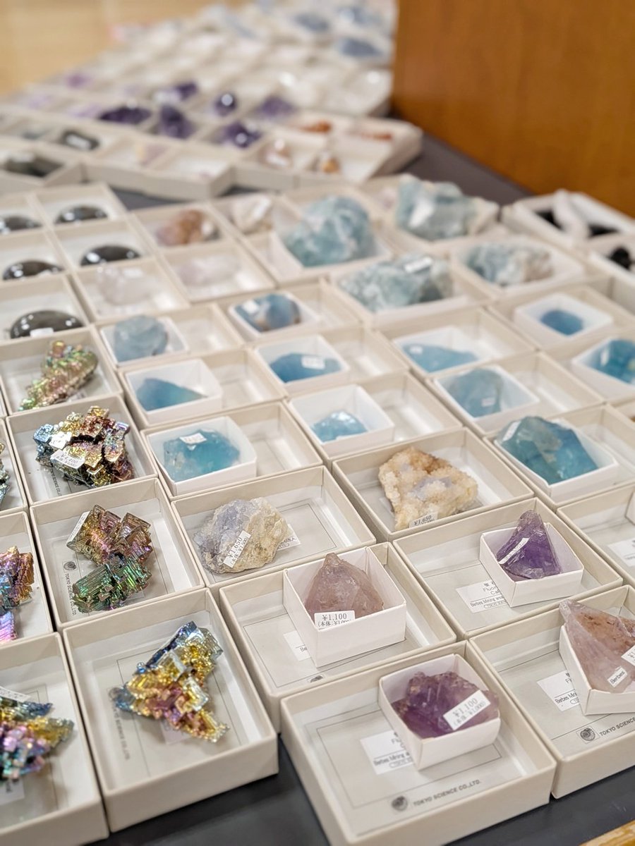 株式会社東京サイエンス tweet media