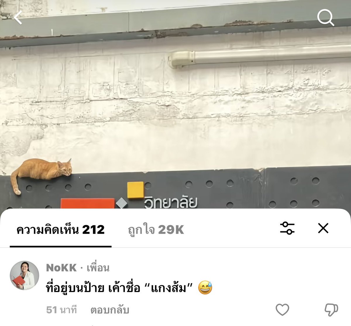 ssanldyy's tweet image. เจอกันนะแกงส้ม #tu #dek69 #ธรรรมศาสตร์ #citu
