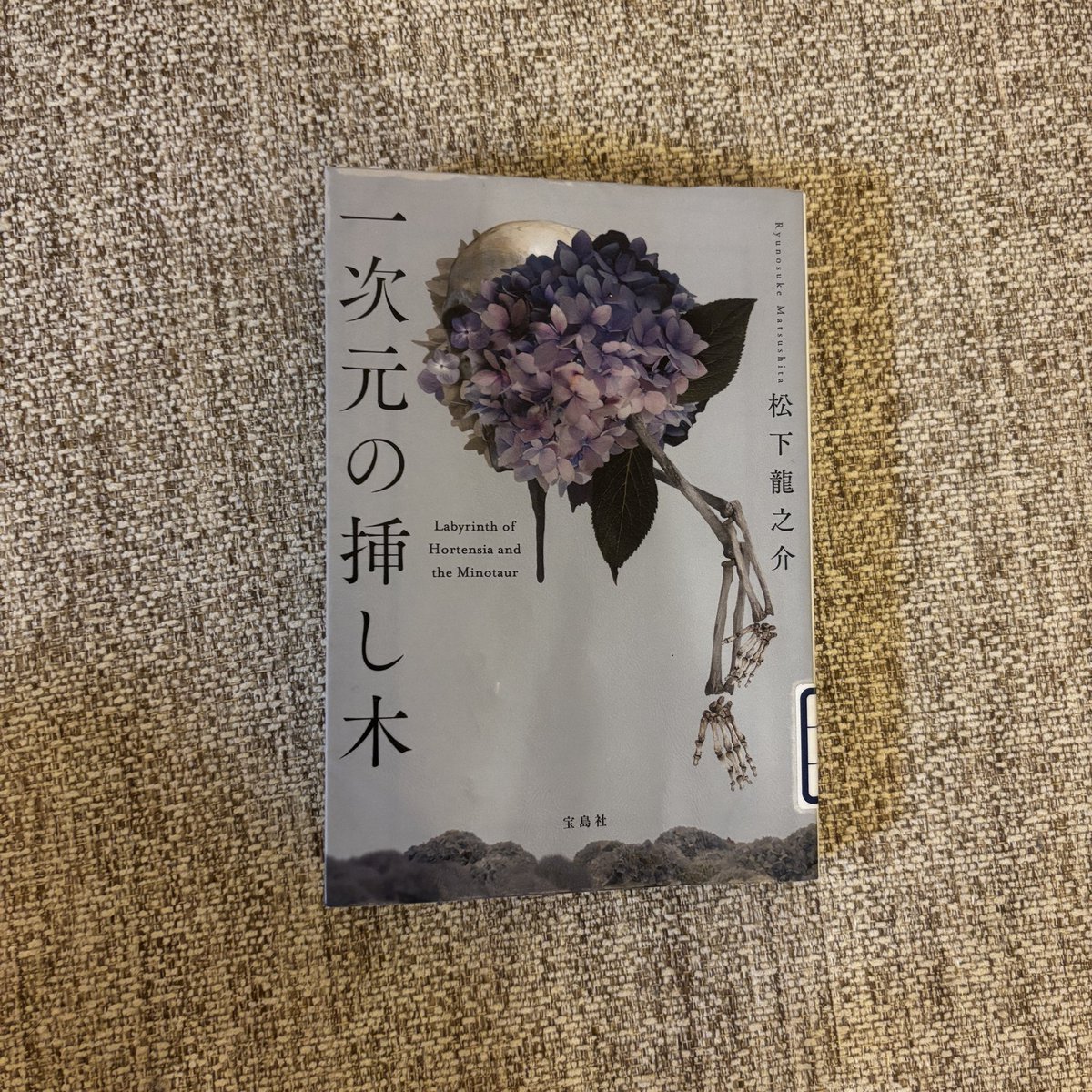 femtipsjp's tweet photo. 『一次元の挿し木』読了
うーん、前評判に踊らされすぎたかな。そこまで入り込めず。
映像で見たら神秘的で美しいだろうなというシーンはいっぱいあるから（湖、避難所やら、美術館やら）海外ロケで映画・アニメ化したら見たいかも。
#読了 https://t.co/16VCttbdLx