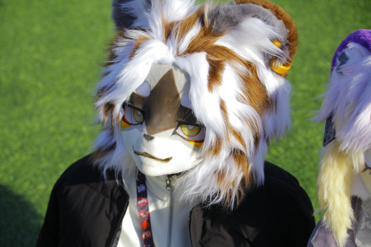#Furryjoa2026 #FurryJoA2026 
#퍼리조아 #FurryJoA 
#킹s로드 #FursuitFriday 

낮잠이나 잘까

📸: <a href="/jangdaehun31310/">🦴장장대대훈훈🦴</a>