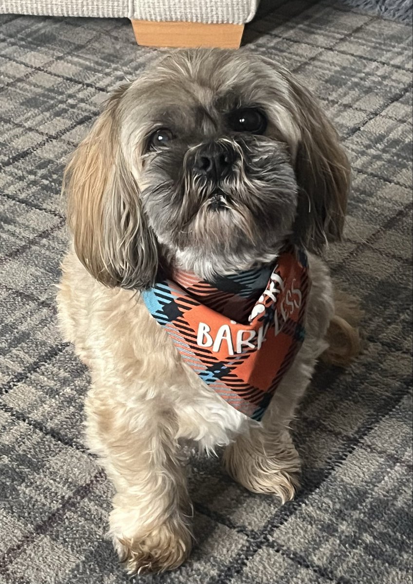 Tina Mason tweet media