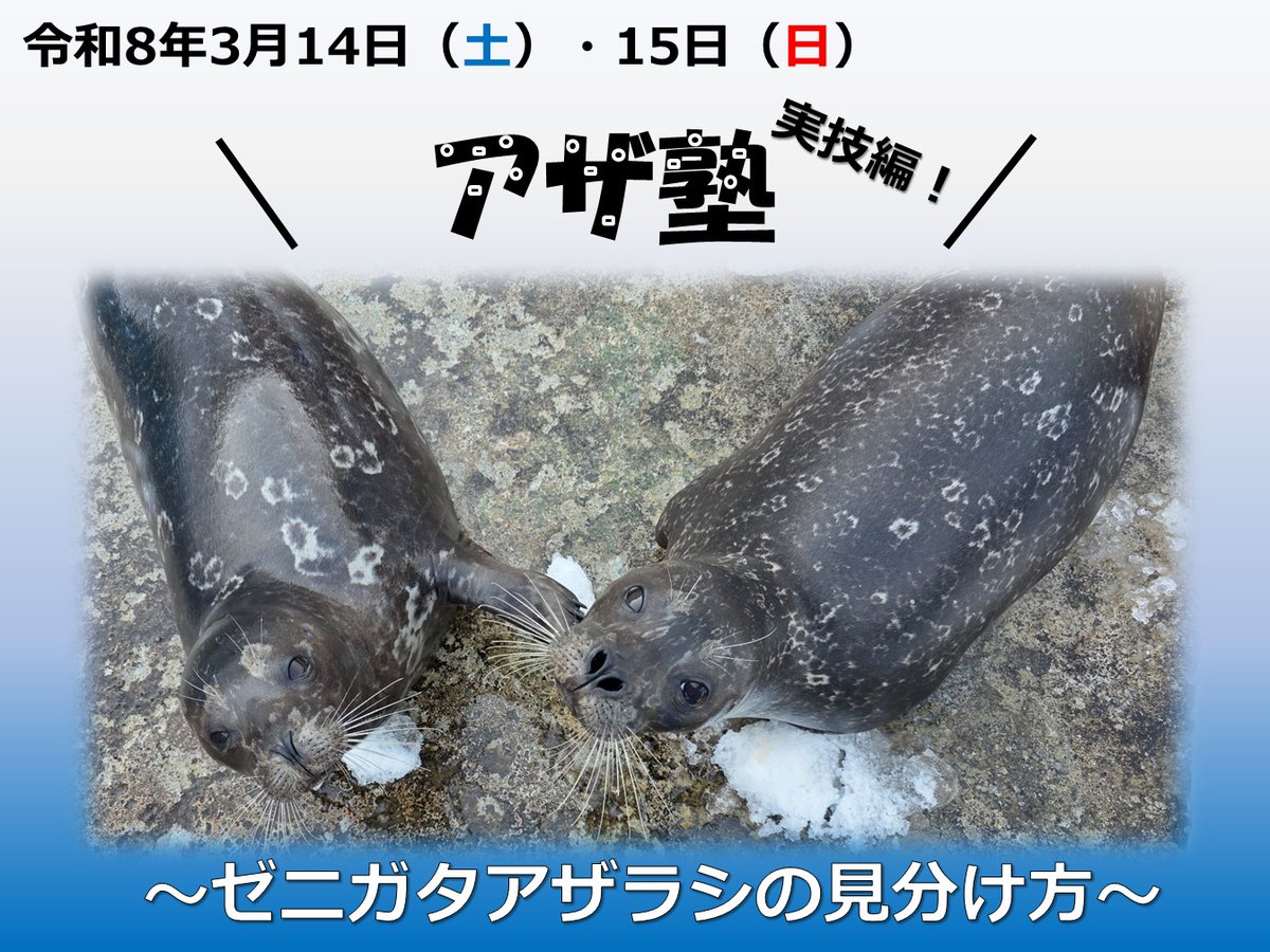 3月のアザラシ強化月間はイベントがいっぱい。 3月22日（日）だけ満員