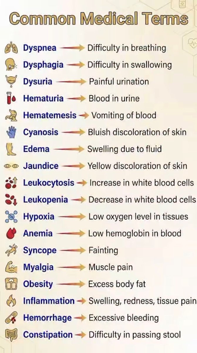 MedicKnowledgeX's tweet photo. https://t.co/cCmTG3pdtB