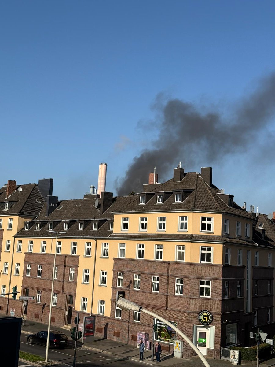 Gartenkoch tweet media