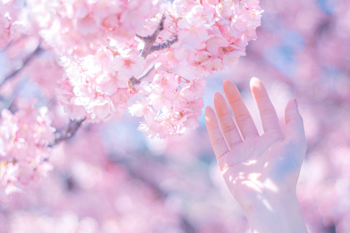 紡季｜tsumugi 書籍発売中 tweet media