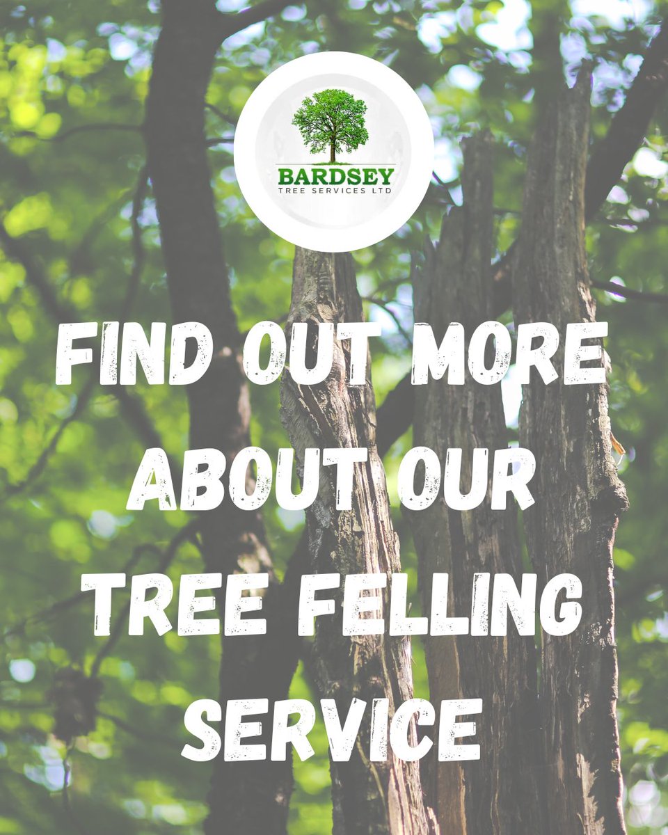Bardsey Tree Services tweet media
