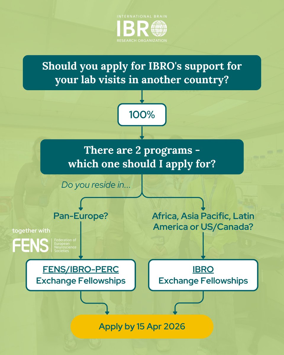 IBRO - International Brain Research Organization tweet media