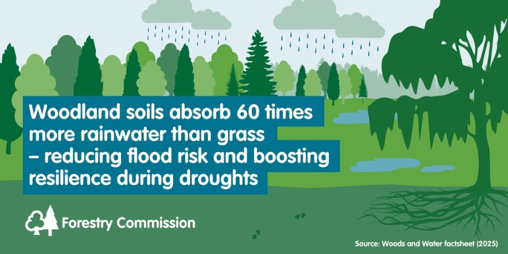 Forestry Commission tweet media