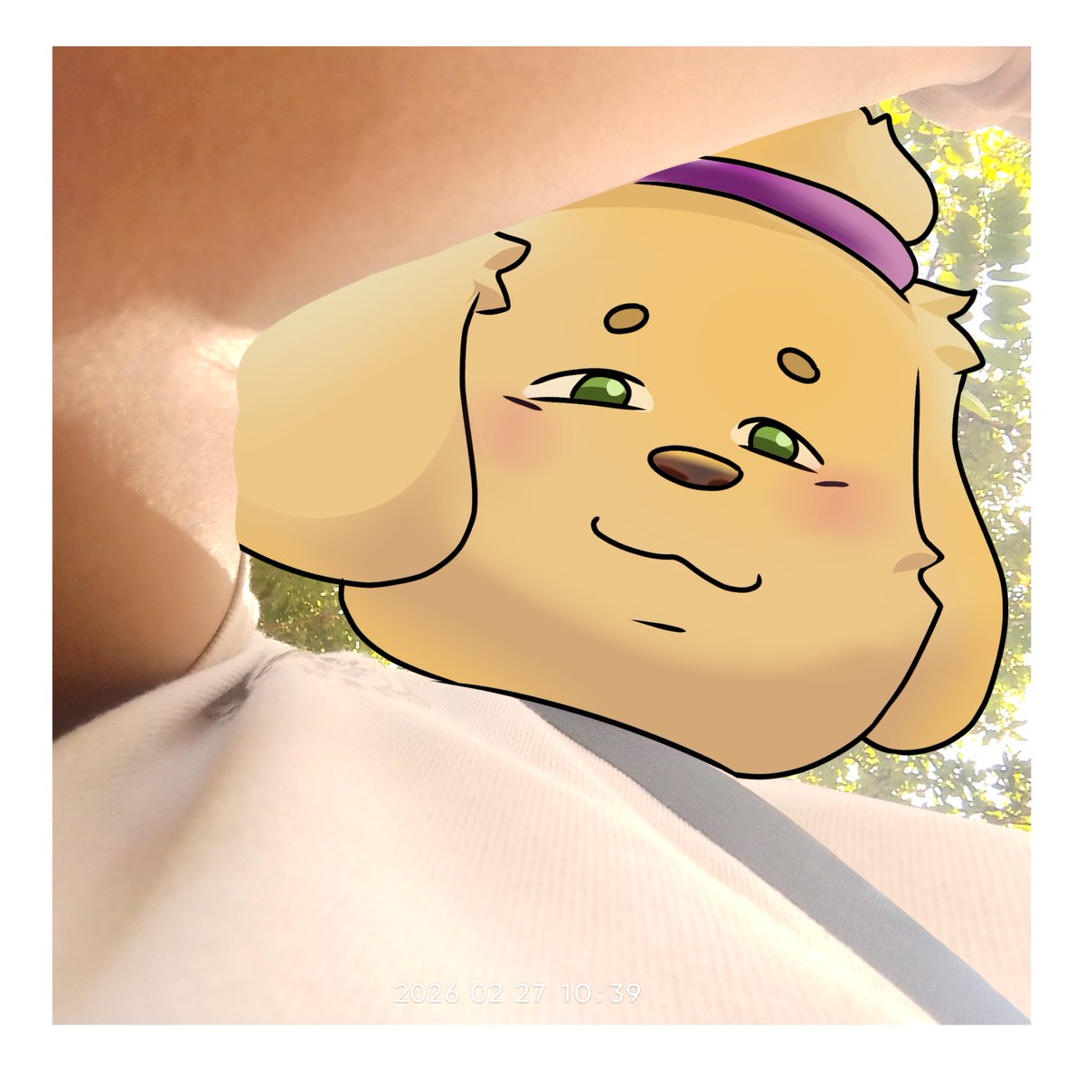 CUSHY PIE tweet media